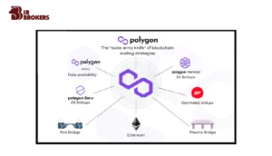 نحوه کار ارز پالیگان (Polygon)